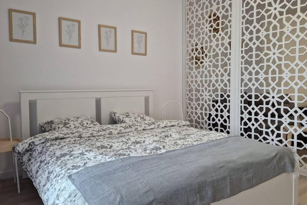 Lovely Apartment In City Center Τιμισοάρα Εξωτερικό φωτογραφία